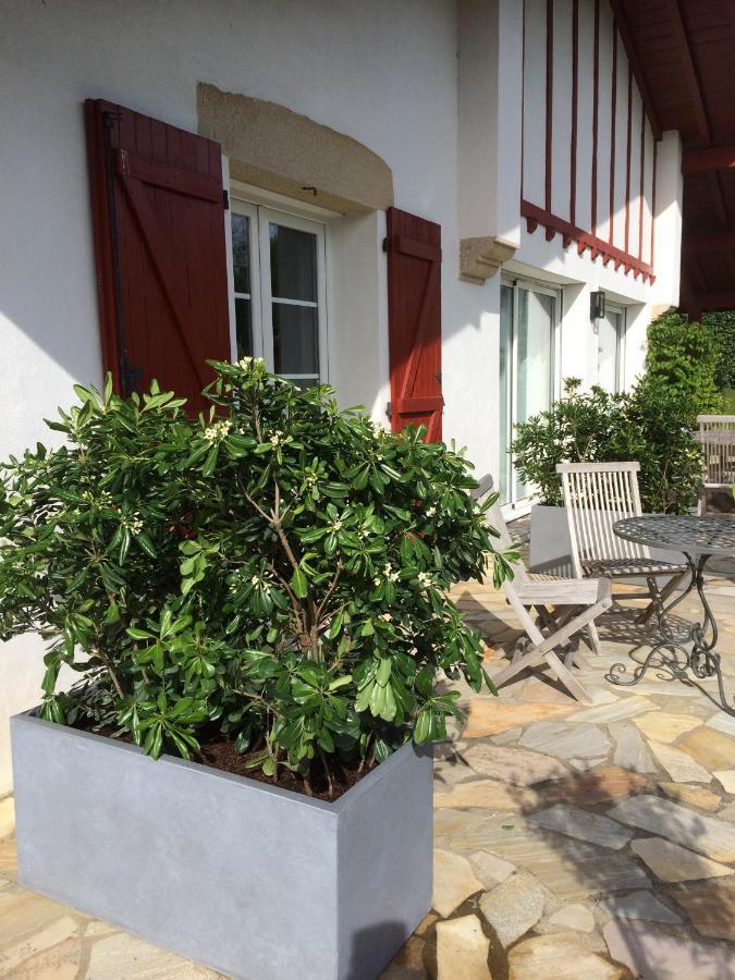 Maison D'Hotes Urbegia อัสแก็ง ภายนอก รูปภาพ